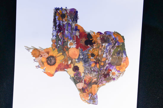 Pressed flower Texas art, real flower art PRINT, Texas wall art
