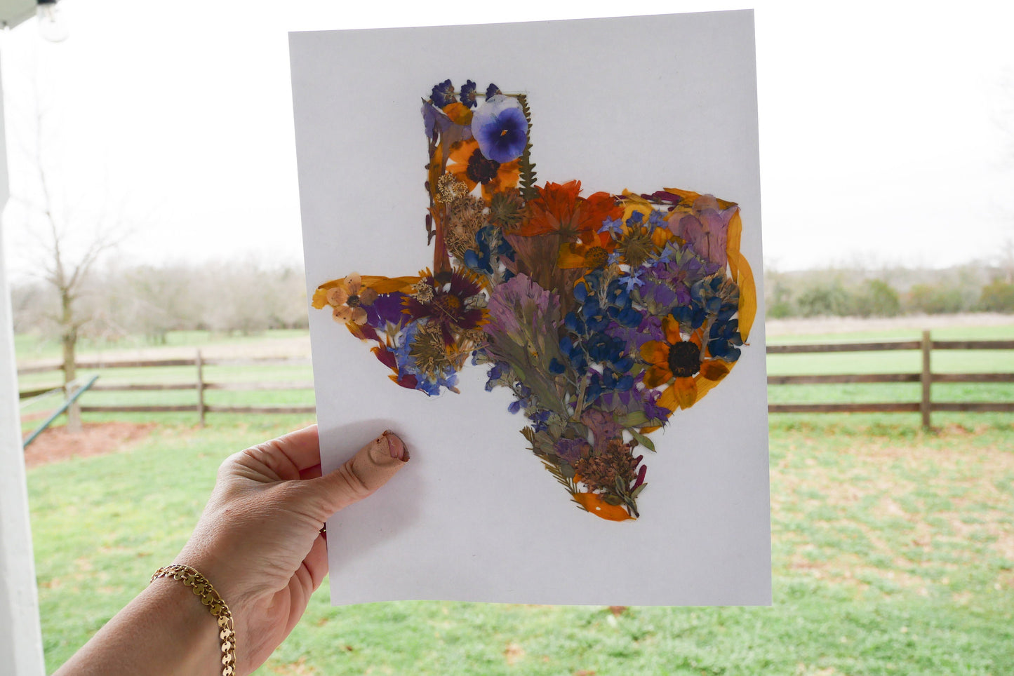 Pressed flower Texas art, real flower art ORIGINAL, Texas wall art