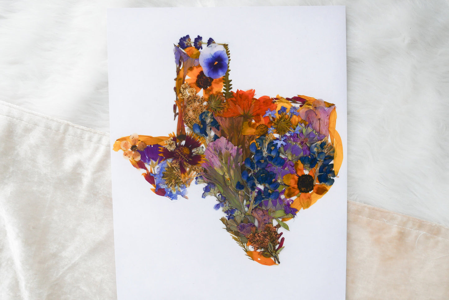 Pressed flower Texas art, real flower art ORIGINAL, Texas wall art