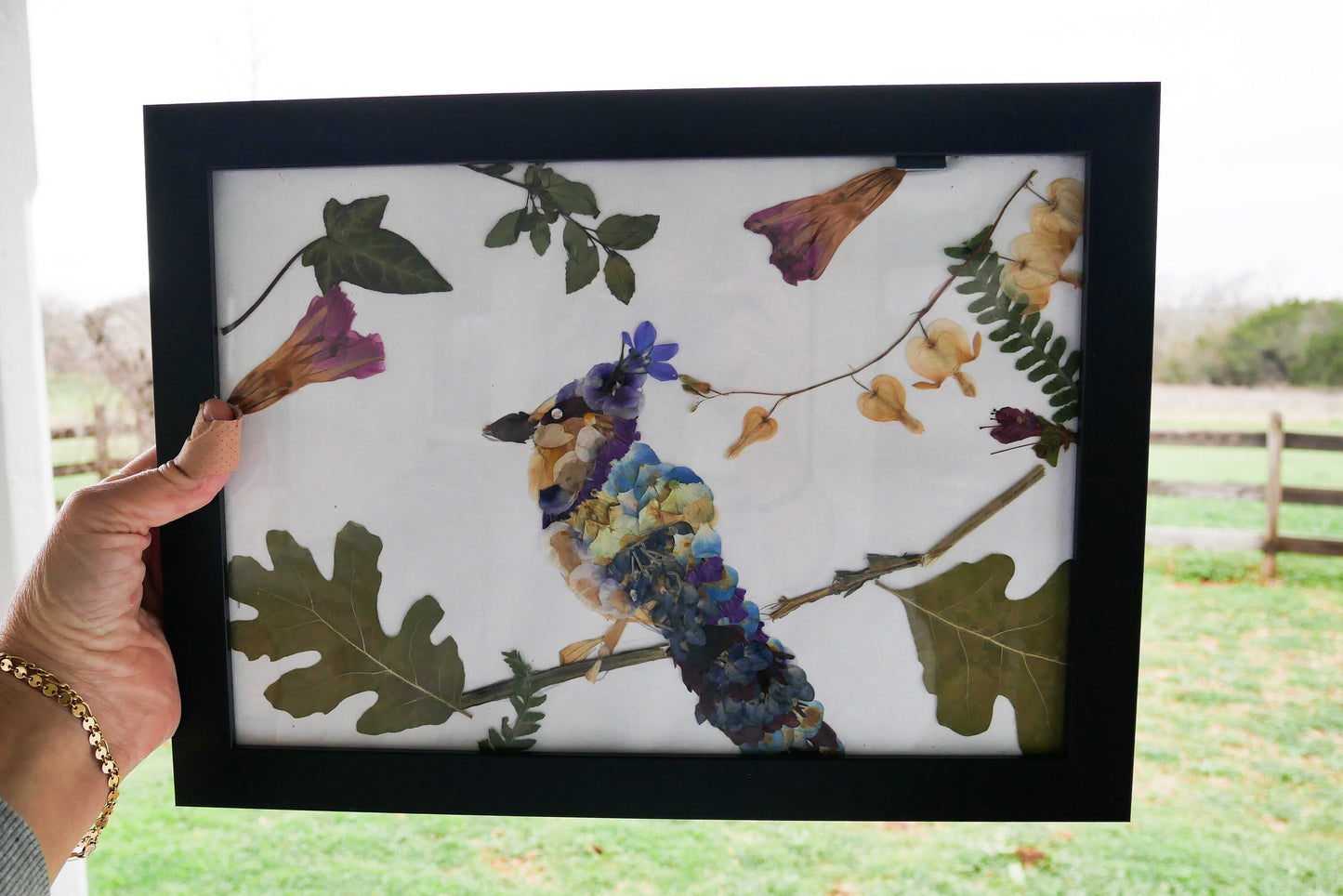 Pressed flower cardinal art, real flower art PRINT