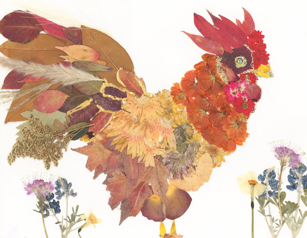 Pressed flower rooster art, real flower art PRINT