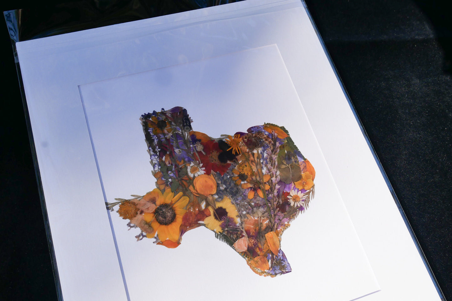 Pressed flower Texas art, real flower art ORIGINAL, Texas wall art
