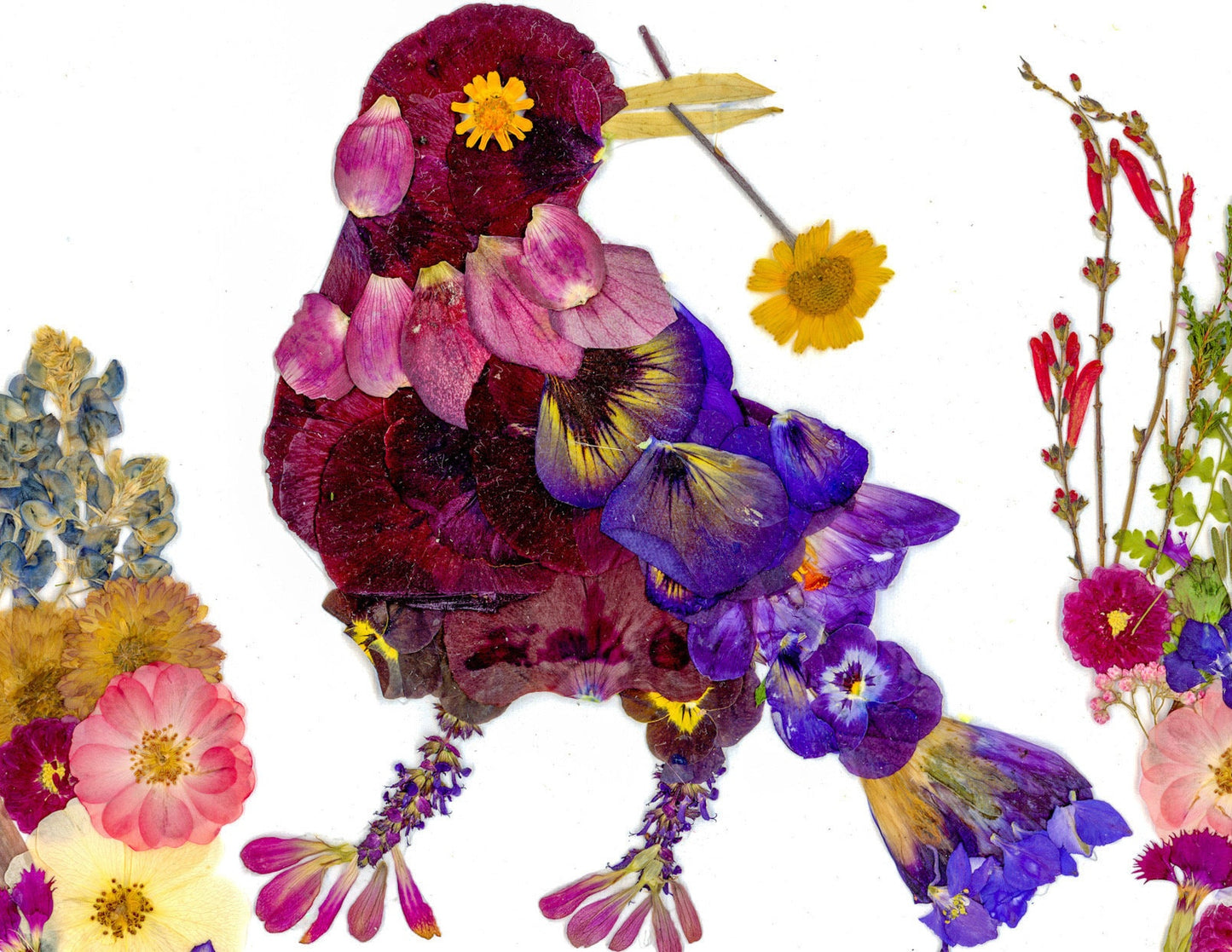 Pressed flower grackle art, floral collage, pressed flower crow art, whimsical bird art