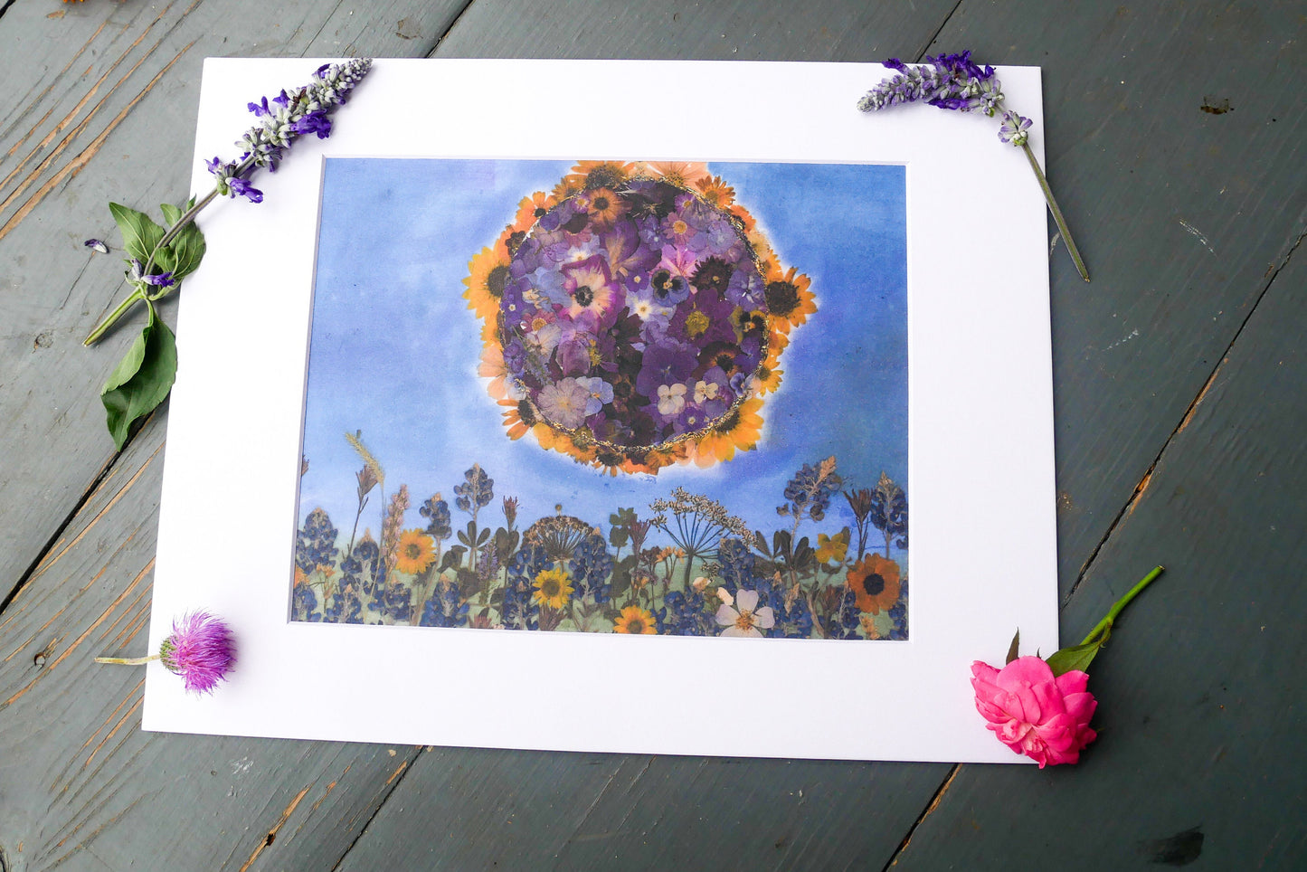 Great American Eclipse 2024 – Dried Flower Collage Print