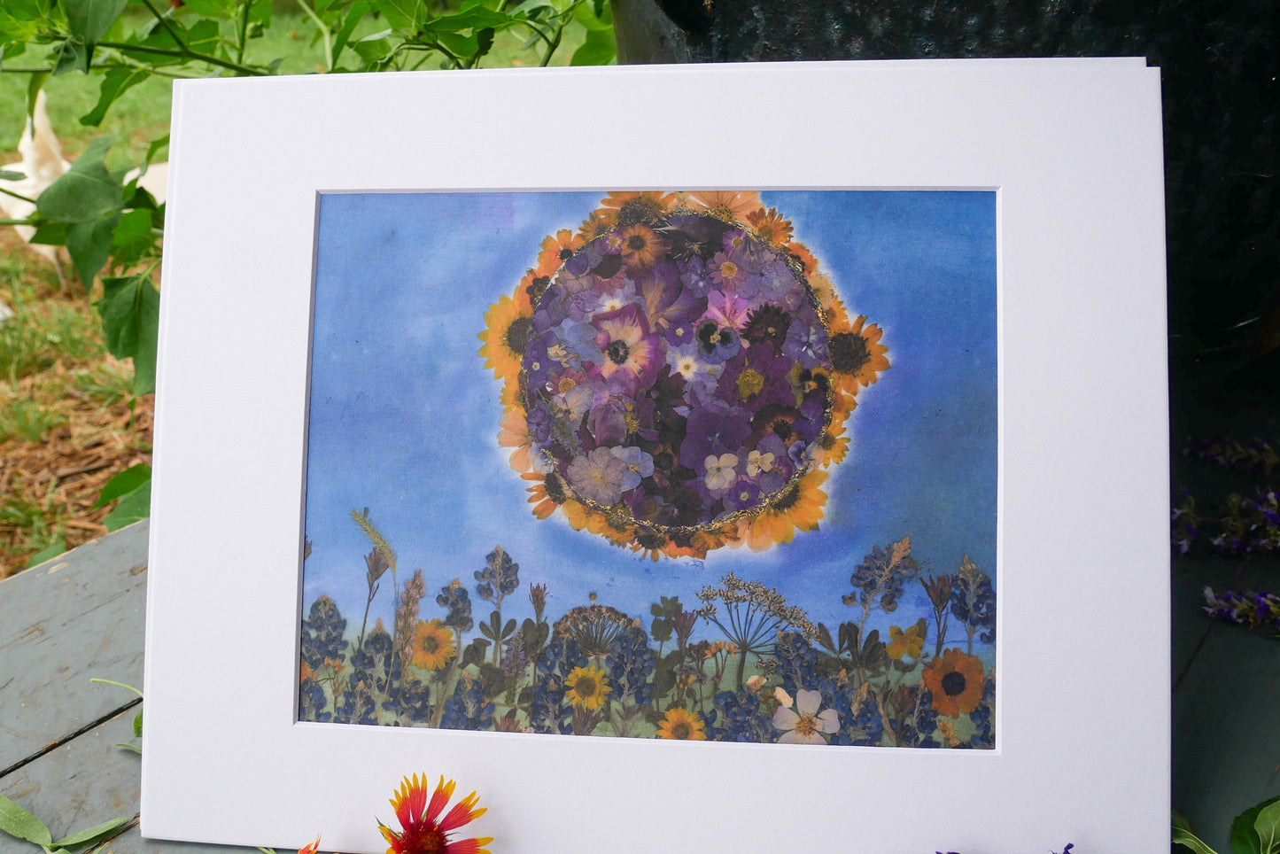 Great American Eclipse 2024 – Dried Flower Collage Print