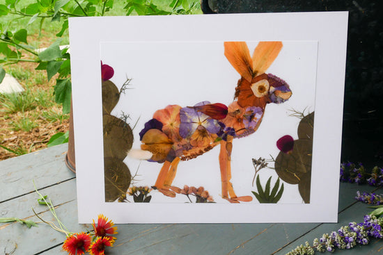 Pressed flower jack rabbit art, real flower art PRINT, whimsical jackrabbit  art, floral collage