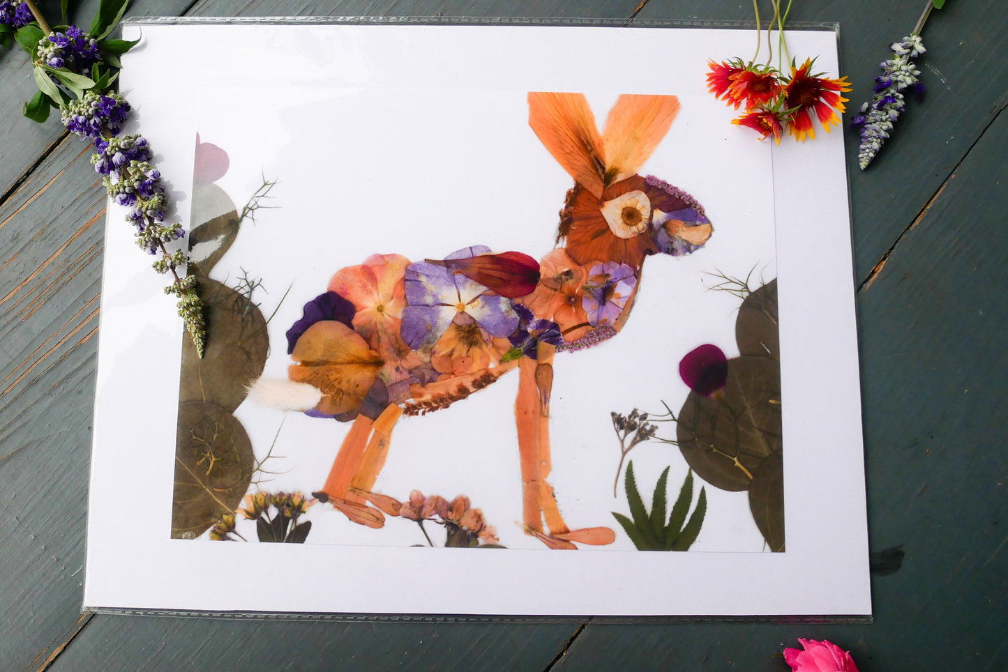 Pressed flower jack rabbit art, real flower art PRINT, whimsical jackrabbit  art, floral collage