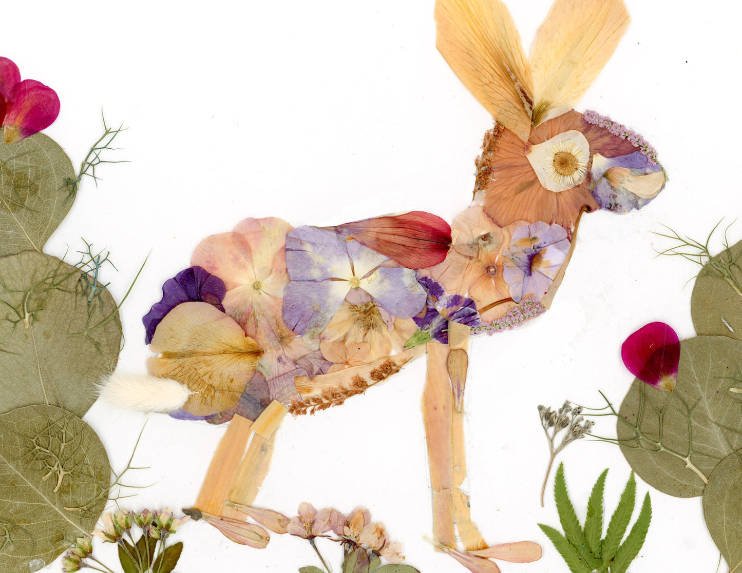 Pressed flower jack rabbit art, real flower art PRINT, whimsical jackrabbit  art, floral collage
