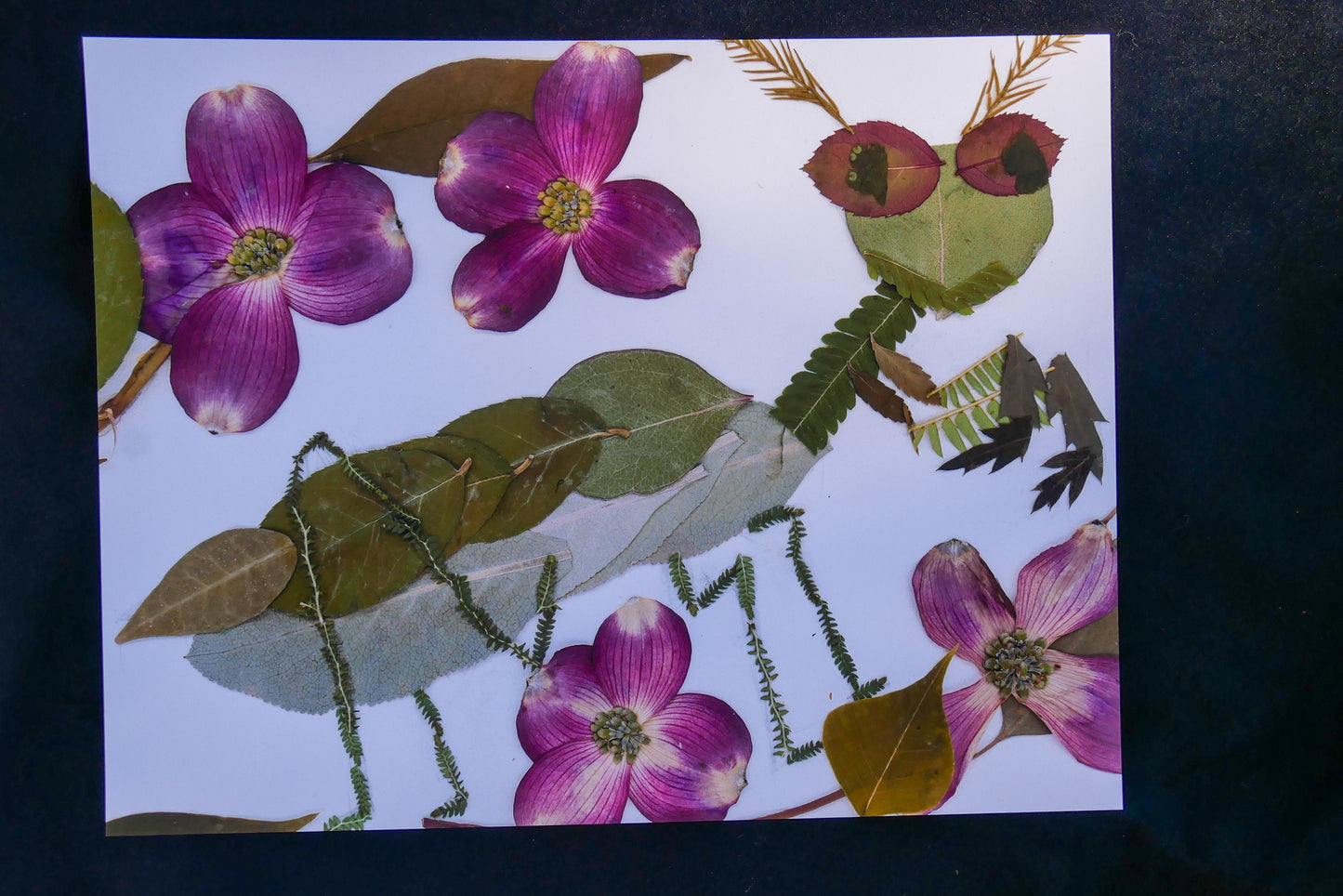 Whimsical Pressed Flower Mantis, Floral Heart Collage (8.5x11 Print)