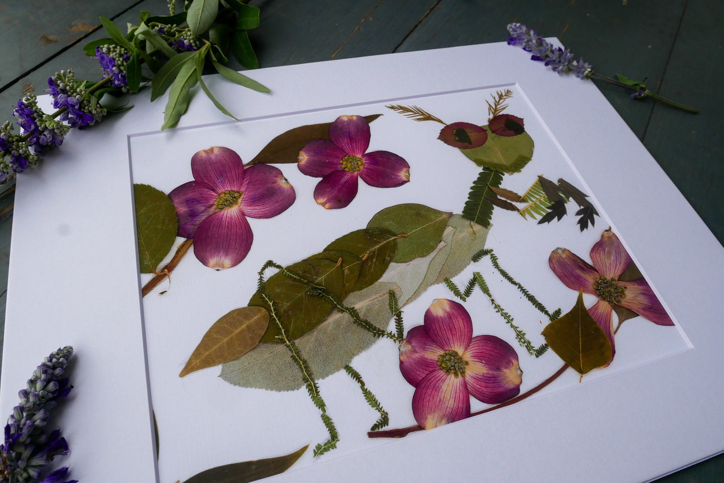 Pressed flower Praying Mantis  art, floral collage heart, whimsical art made with real flowers