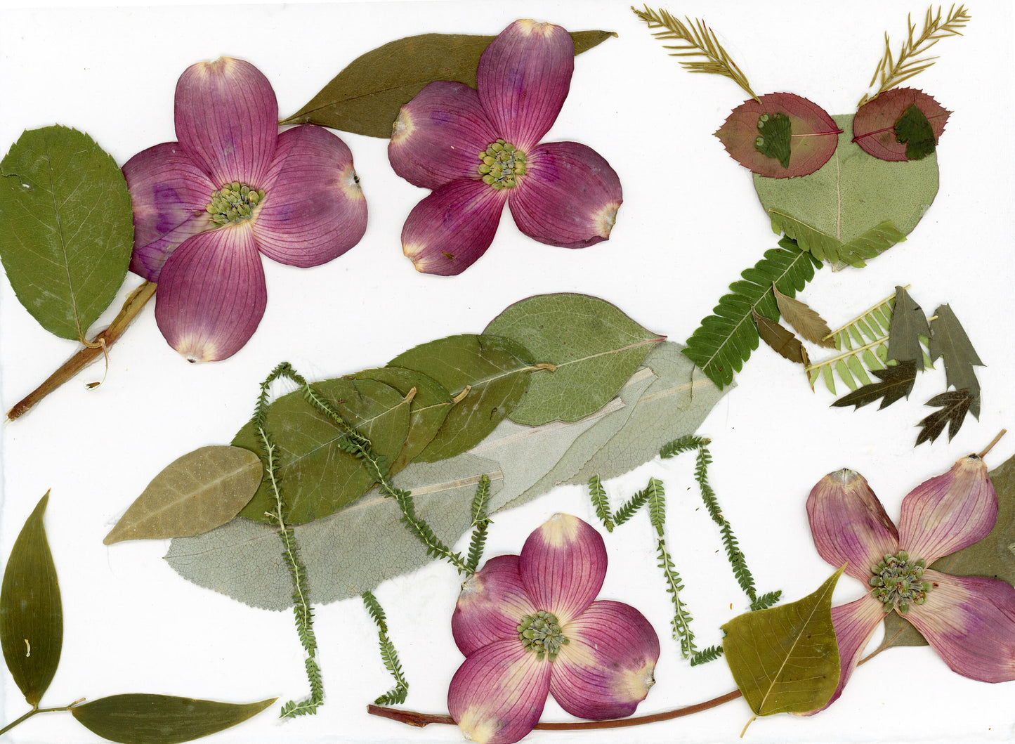Pressed flower Praying Mantis  art, floral collage heart, whimsical art made with real flowers