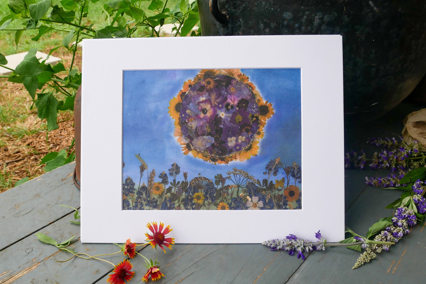 Great American Eclipse 2024 – Dried Flower Collage Print