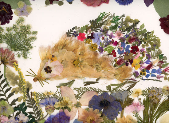 Pressed Flower Hedgehog art, Whimsical Hedgehog, Art Print for woodland nursery