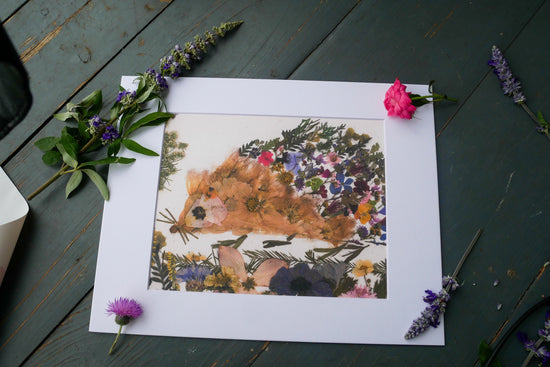 Pressed Flower Hedgehog art, Whimsical Hedgehog, Art Print for woodland nursery