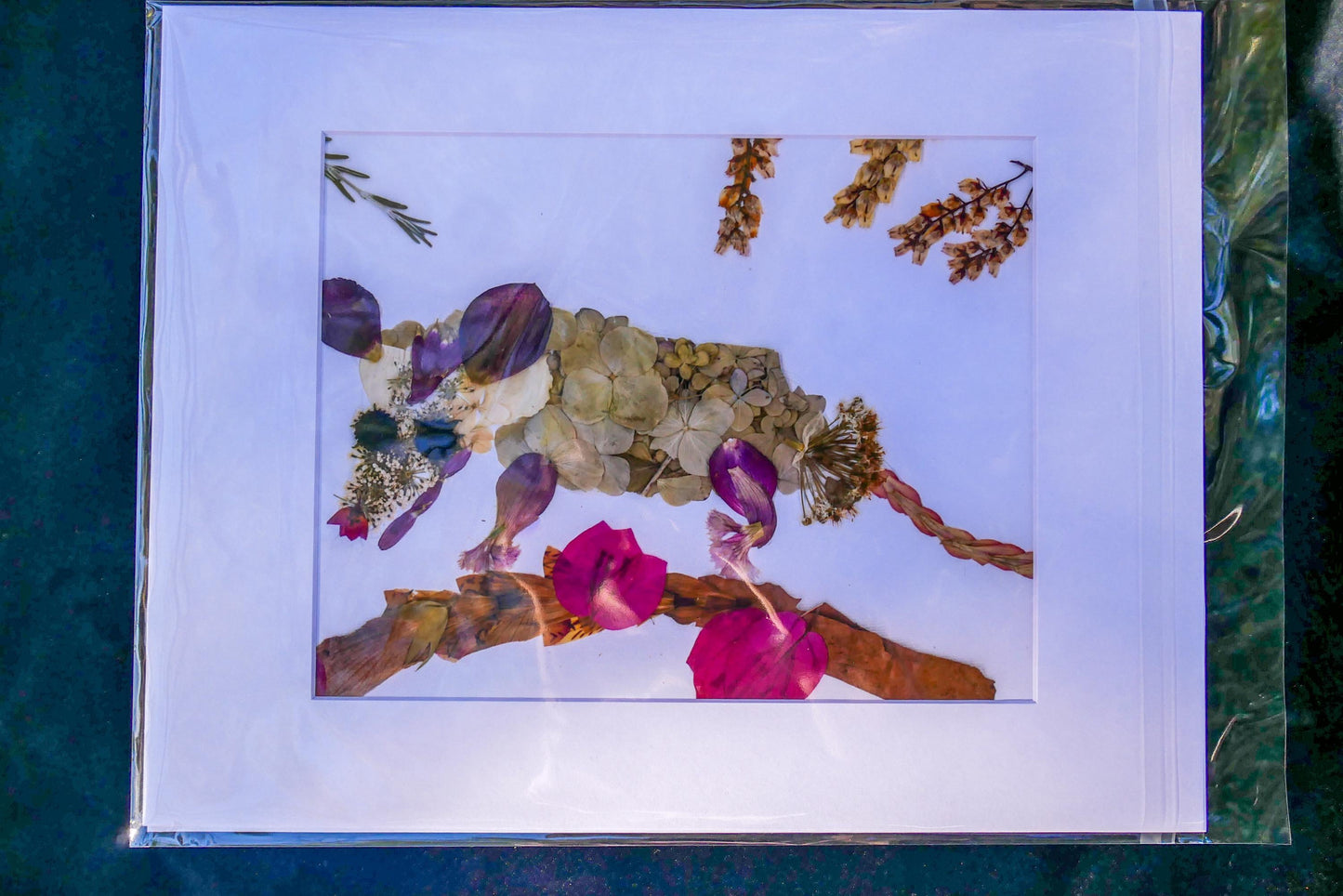 Pressed flower Possom art, possum  PRINT, cute possum art, woodland art, flower collage art
