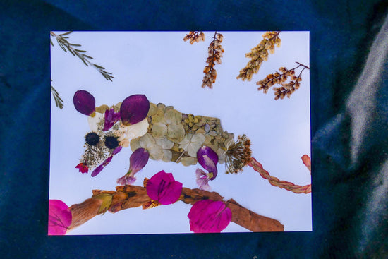 Pressed flower Possom art, possum  PRINT, cute possum art, woodland art, flower collage art