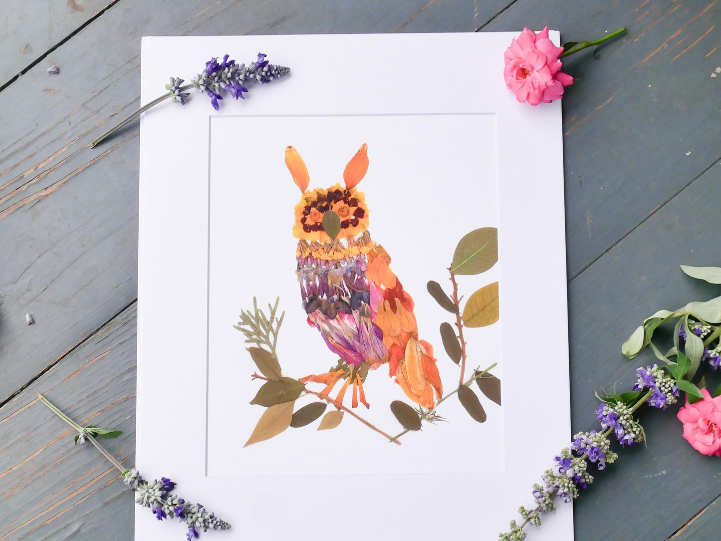 Pressed flower Owl  art, floral collage owl, whimsical art made with real flowers, whimsical owl  print