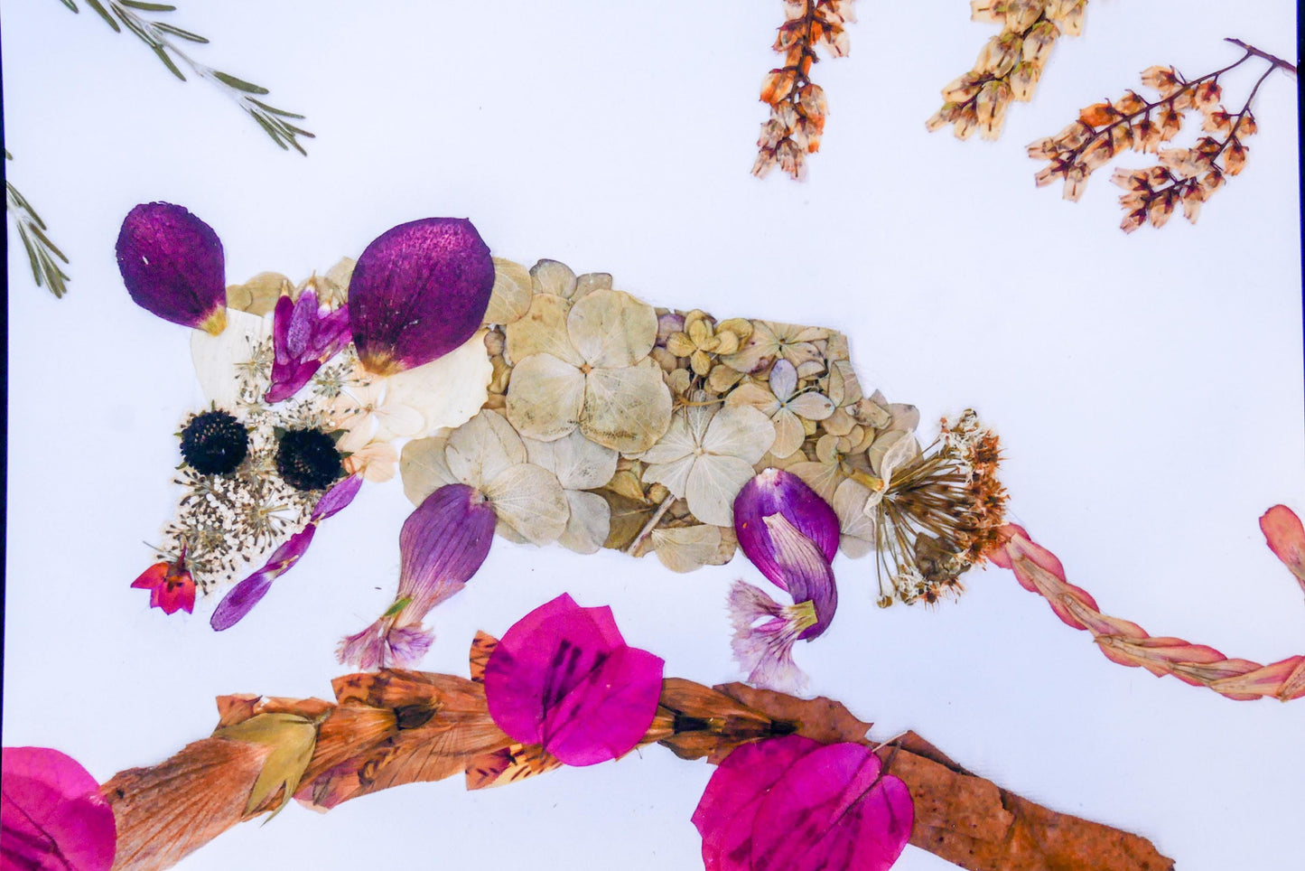 Pressed Flower Possum Print - Cute Woodland Floral Collage