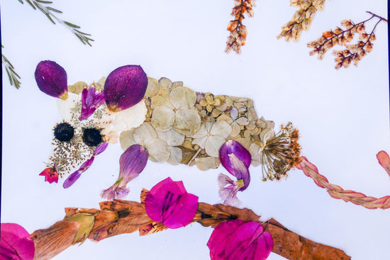 Pressed flower Possom art, possum  PRINT, cute possum art, woodland art, flower collage art