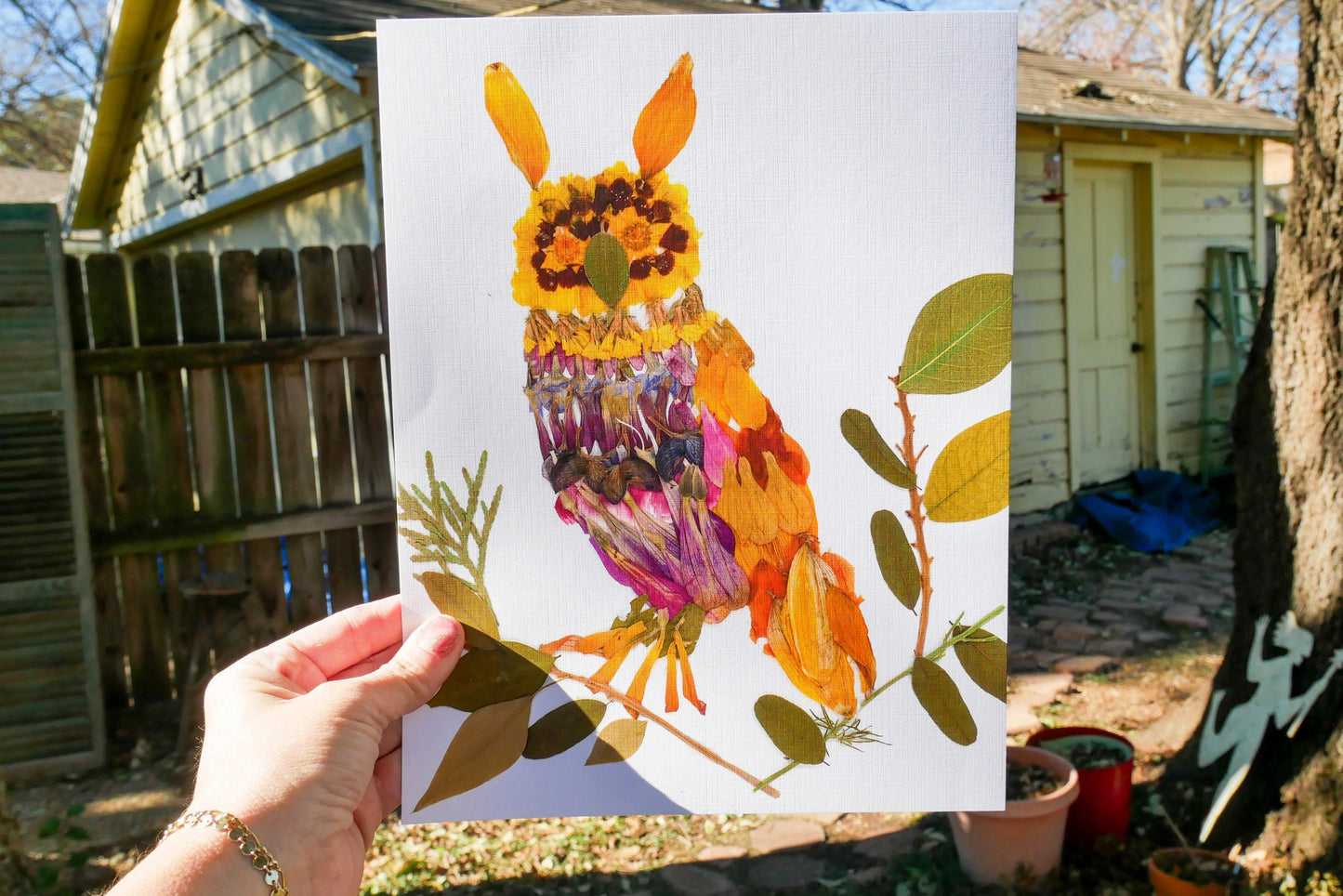 Pressed flower Owl  art, floral collage owl, whimsical art made with real flowers, whimsical owl  print