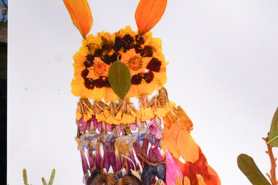 Pressed flower Owl  art, floral collage owl, whimsical art made with real flowers, whimsical owl  print