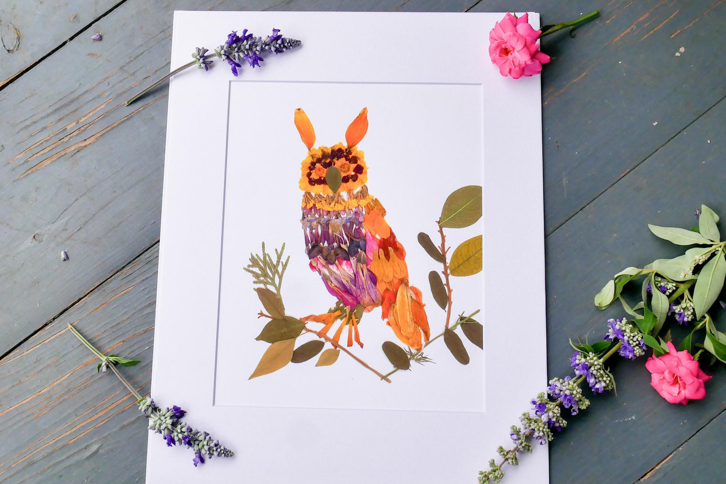 Pressed flower Owl  art, floral collage owl, whimsical art made with real flowers, whimsical owl  print