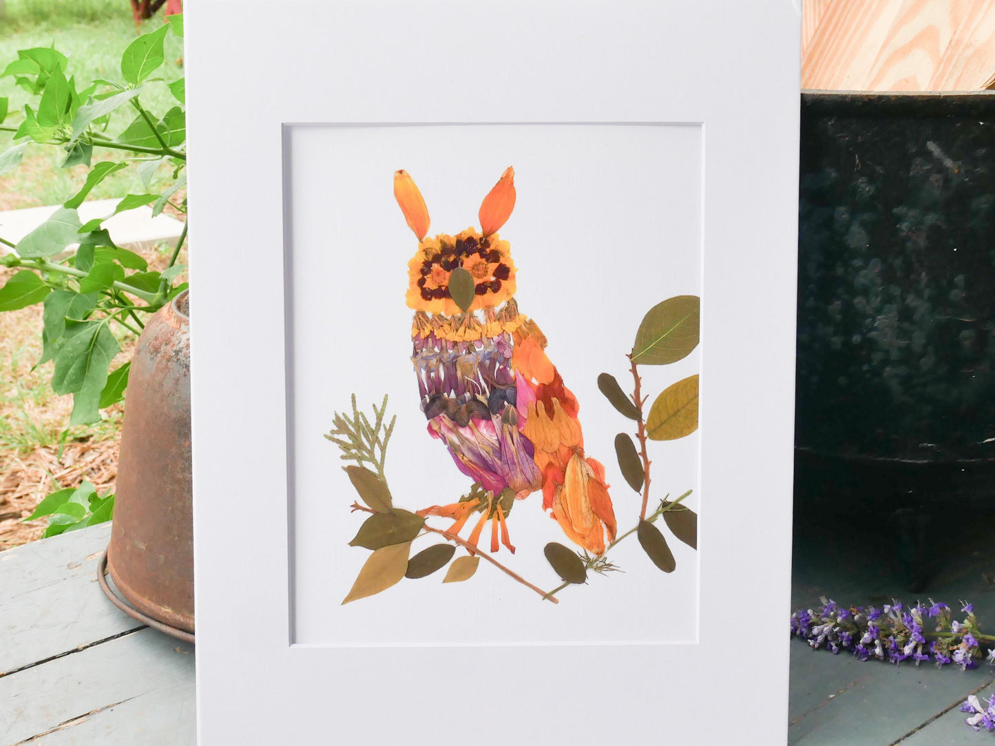 Pressed flower Owl  art, floral collage owl, whimsical art made with real flowers, whimsical owl  print