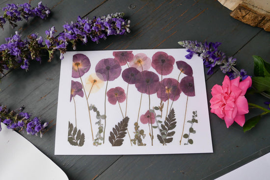 Pressed Poppy greeting card PRINT,  poppy art, blank greeting card, real flower card