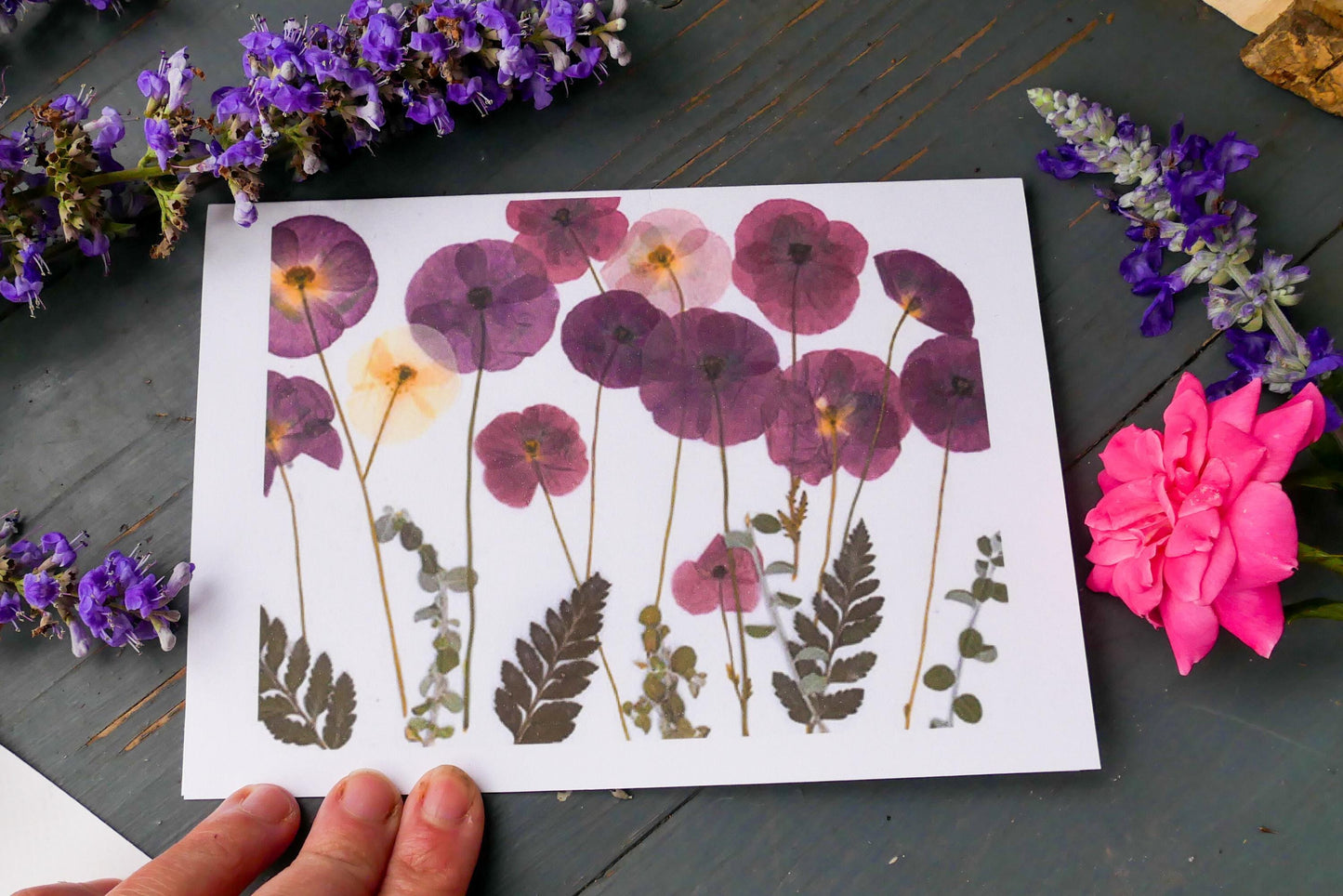 Pressed Poppy Card: Floral Birthday Art (Blank, 5x7 Envelope Included) August Birthflower
