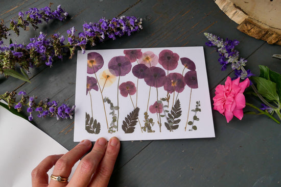 Pressed Poppy greeting card PRINT,  poppy art, blank greeting card, real flower card