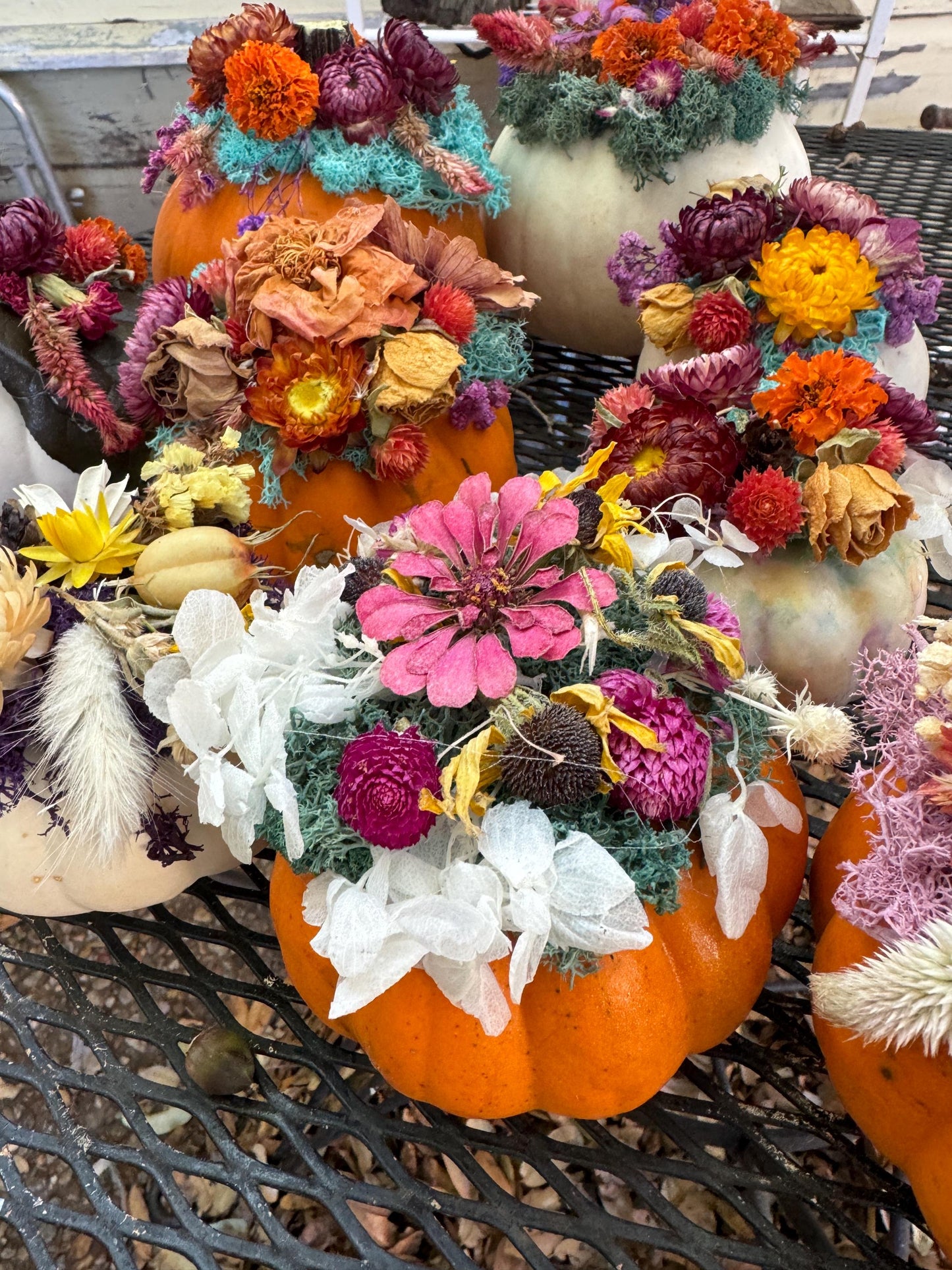 Dried flower pumpkin with real flowers on pumpkin for centerpiece floral fall table decor