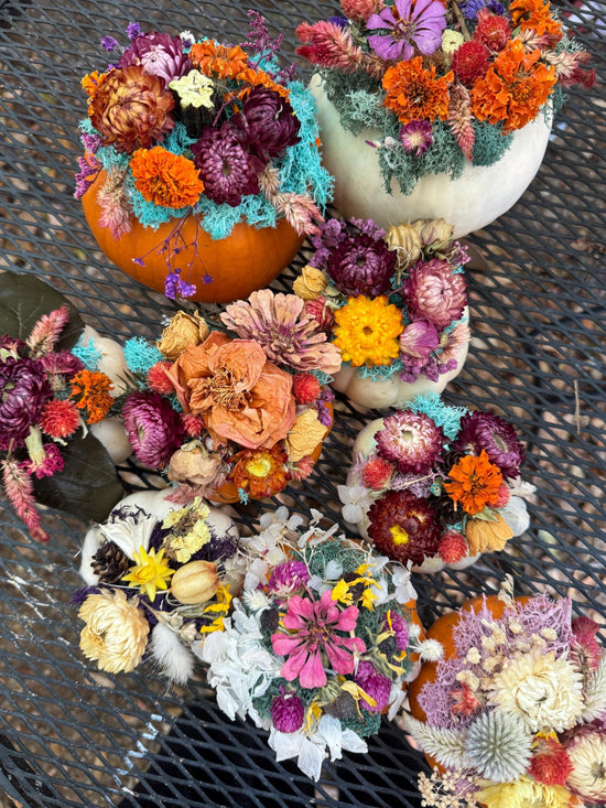 Dried flower pumpkin with real flowers on pumpkin for centerpiece floral fall table decor