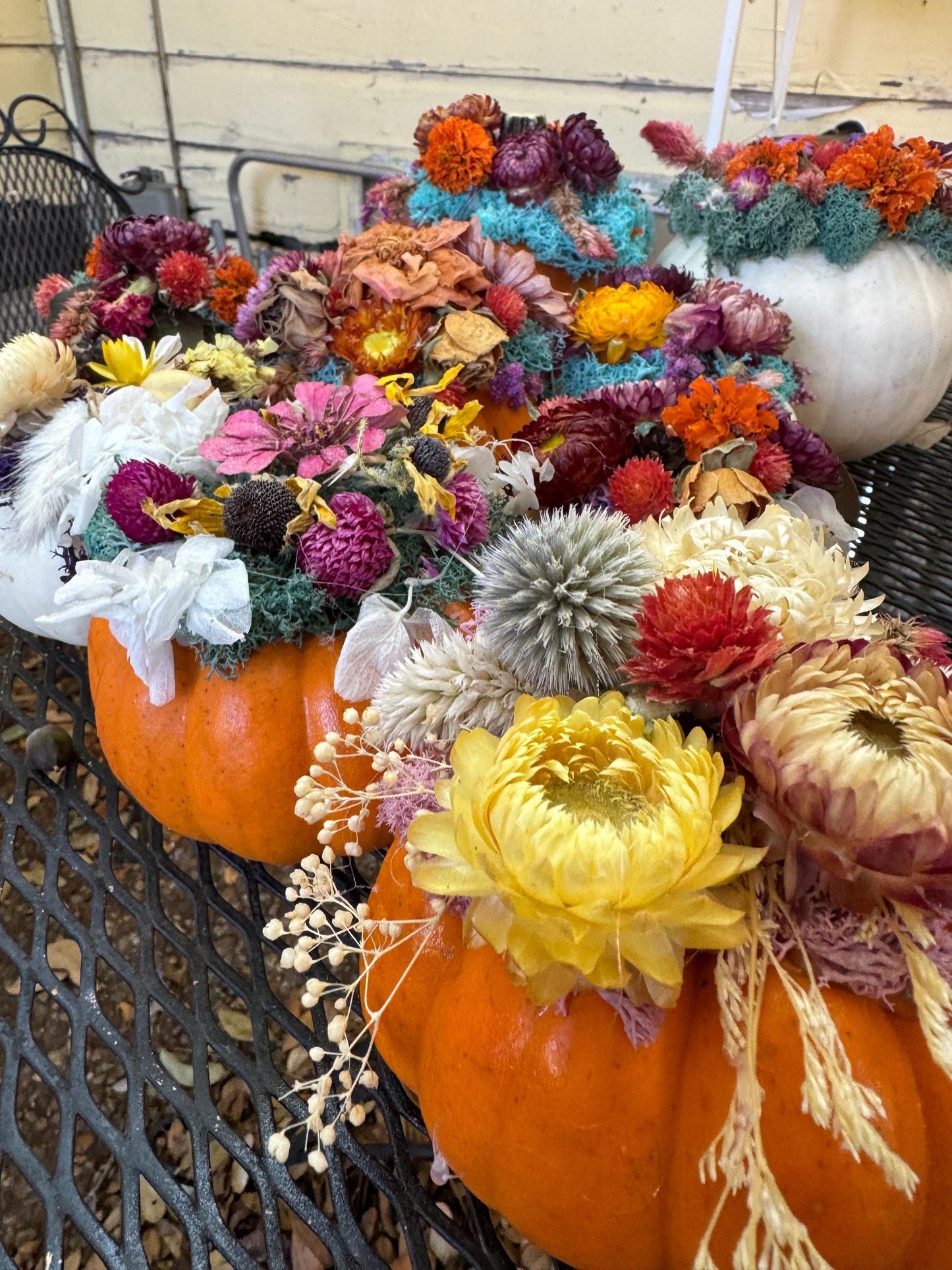 Dried flower pumpkin with real flowers on pumpkin for centerpiece floral fall table decor