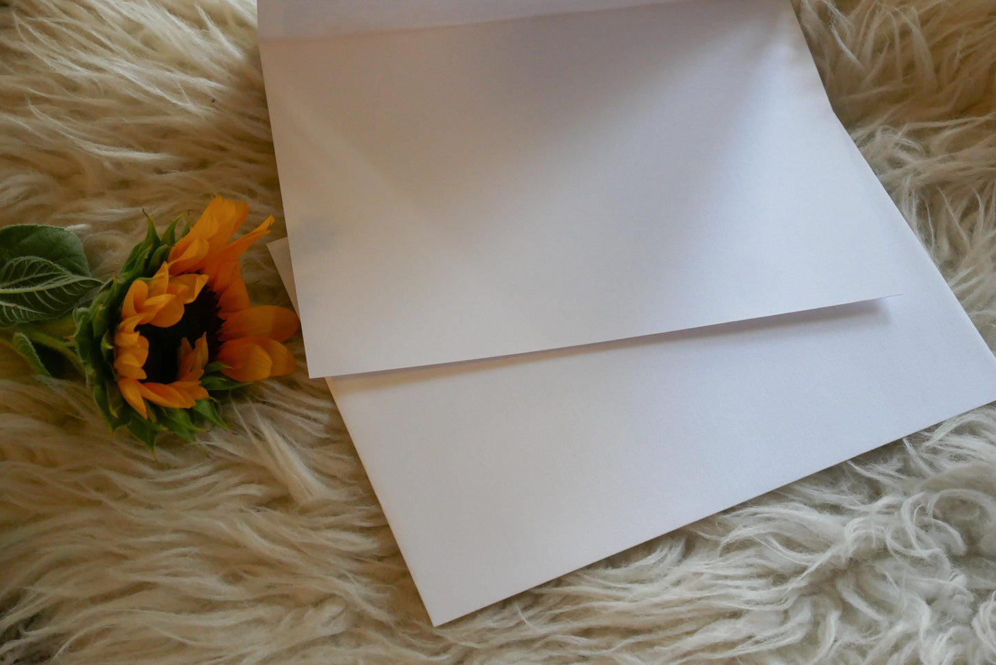 Greeting Card Print: Pressed Flower Hedgehog - Blank, 5x7 Size