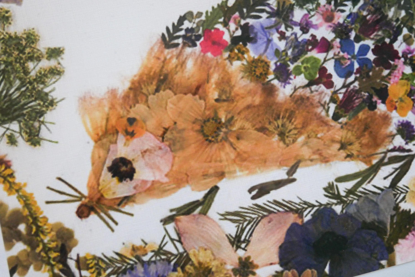 Pressed flower hedgehog print greeting card, pressed flower hedgehog, hedgehog card, blank whimsical greeting card