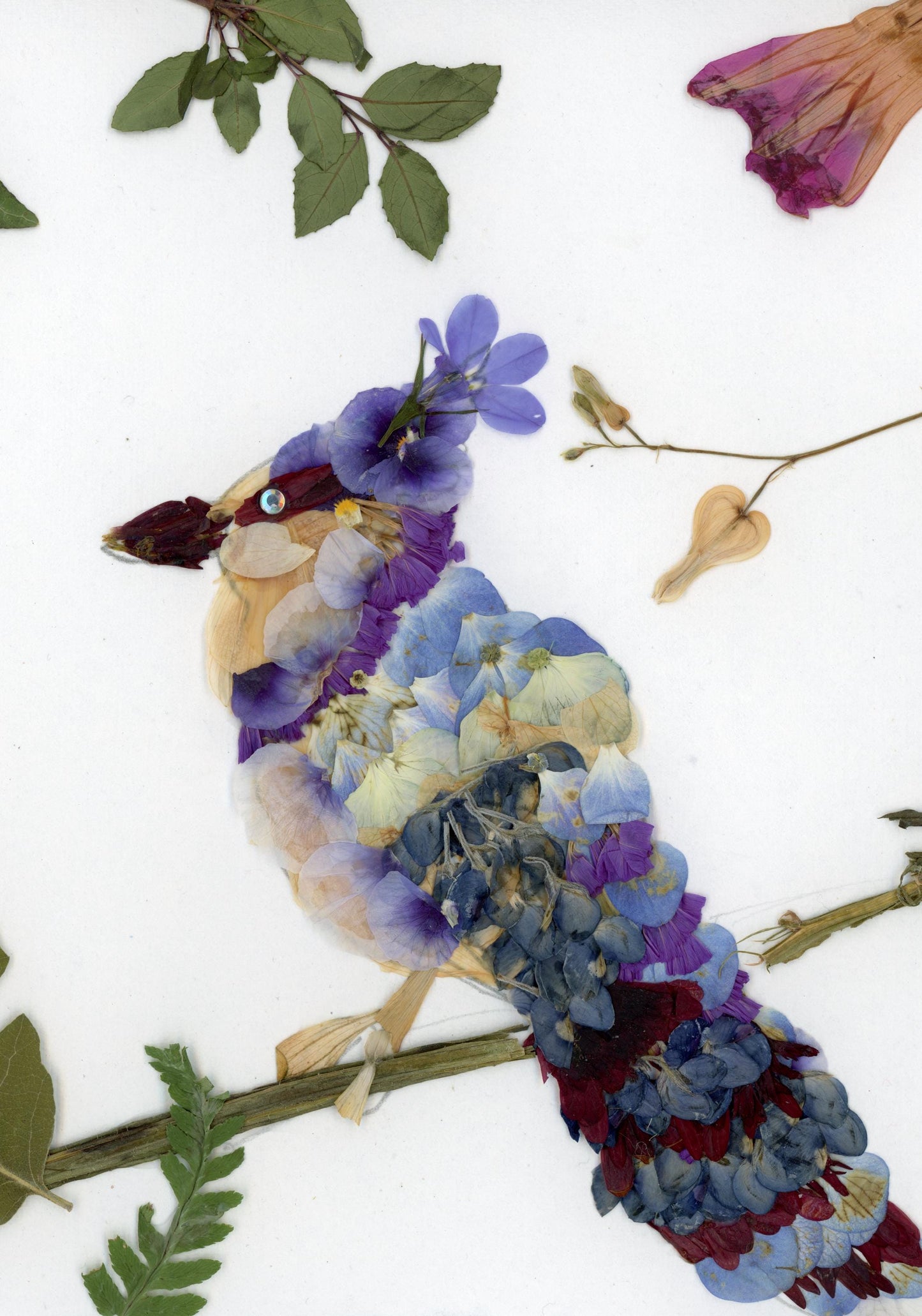 blue jay made from pressed flowers