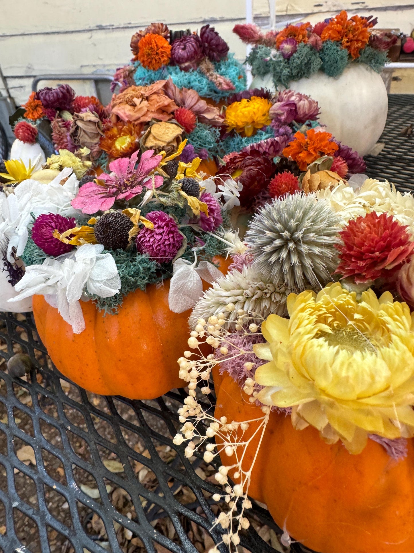 Dried flower pumpkin with real flowers on pumpkin for centerpiece floral fall table decor