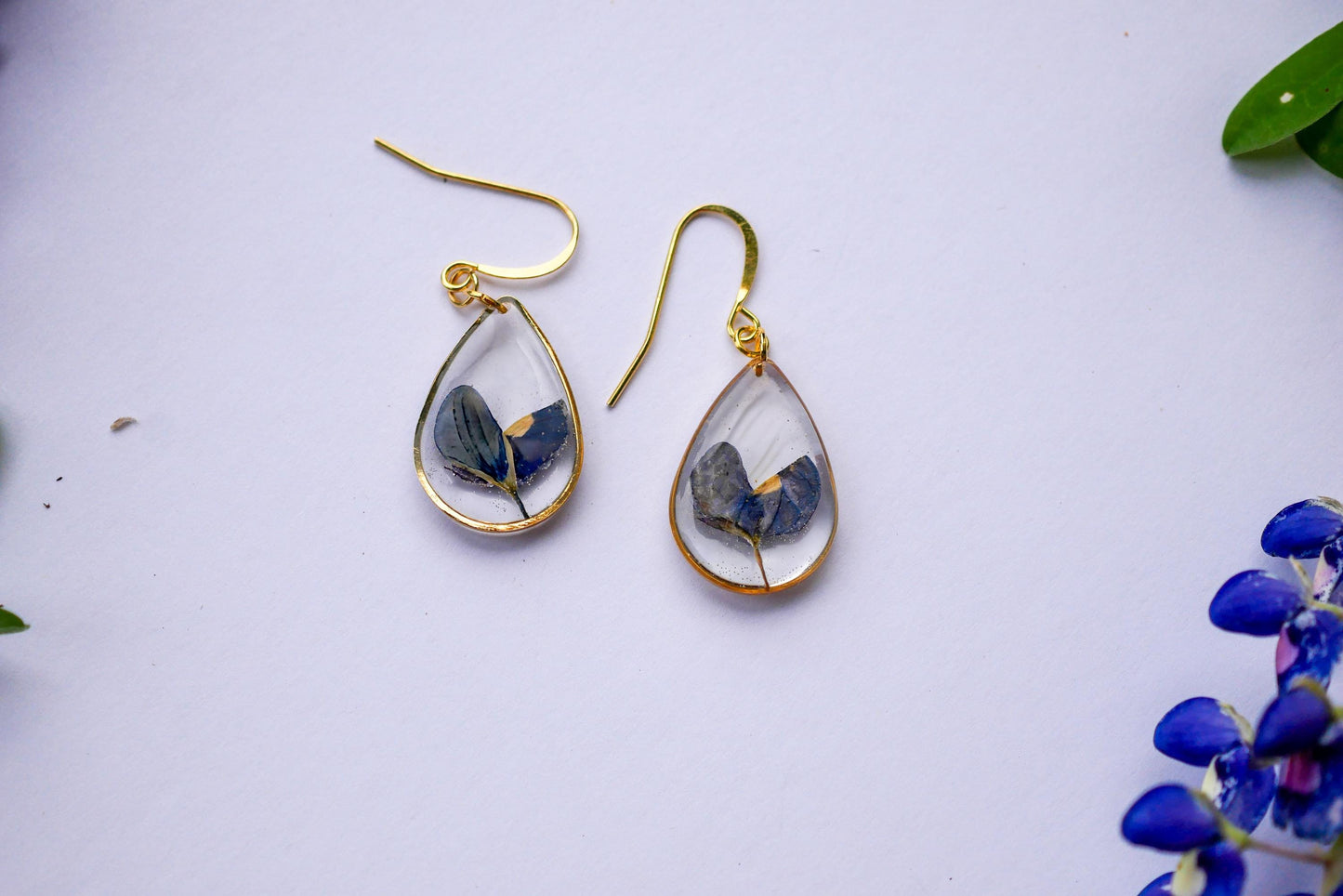 Pressed Texas bluebonnet earrings, Texas pride dangles, real wildflower earrings