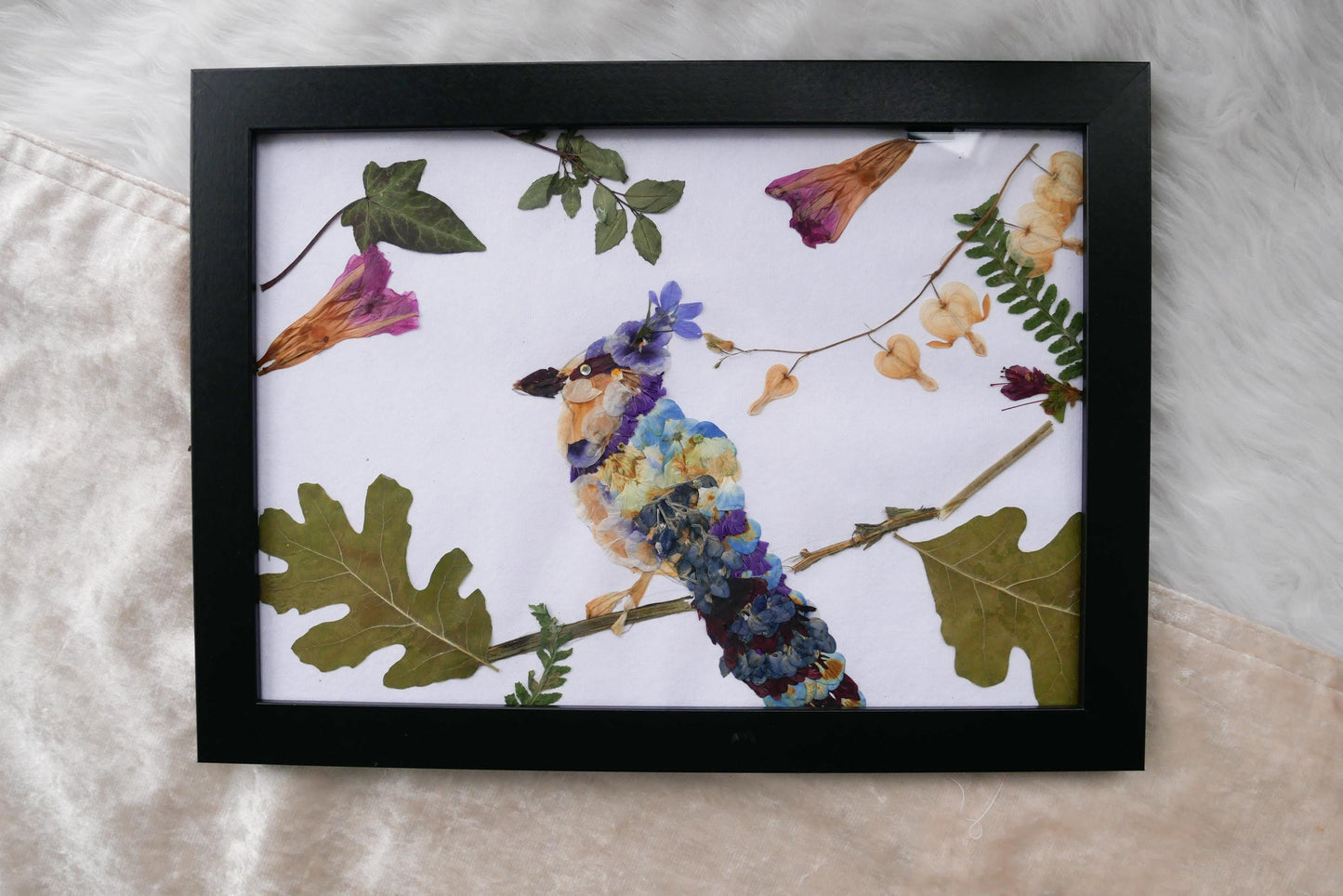 Pressed flower blue jay art PRINT, whimsical bird art