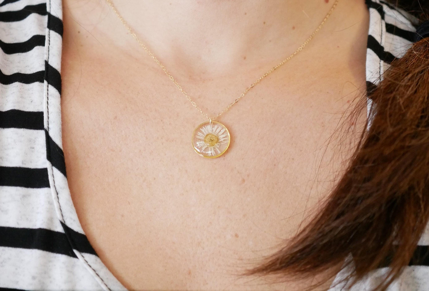 pressed fleabane daisy in a dainty gold frame on a 24 k gold fill necklace chain