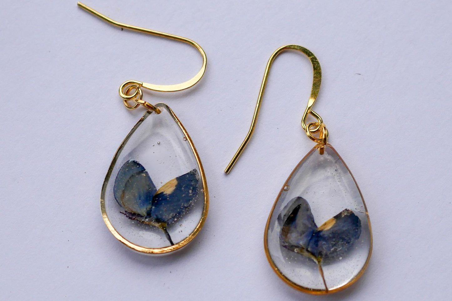Pressed Texas bluebonnet earrings, Texas pride dangles, real wildflower earrings
