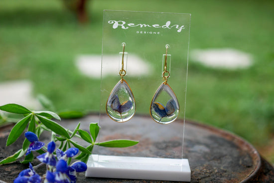 Pressed Texas bluebonnet earrings, Texas pride dangles, real wildflower earrings
