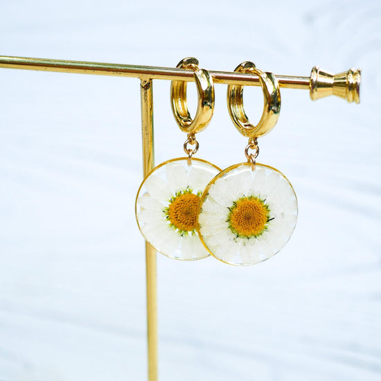 Pressed flower daisy earrings, real flowers,  hoop earrings,  terrarium earrings, real flower jewelry, botanical hoops
