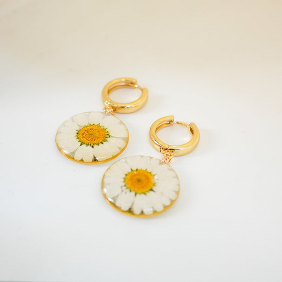 Pressed flower daisy earrings, real flowers,  hoop earrings,  terrarium earrings, real flower jewelry, botanical hoops