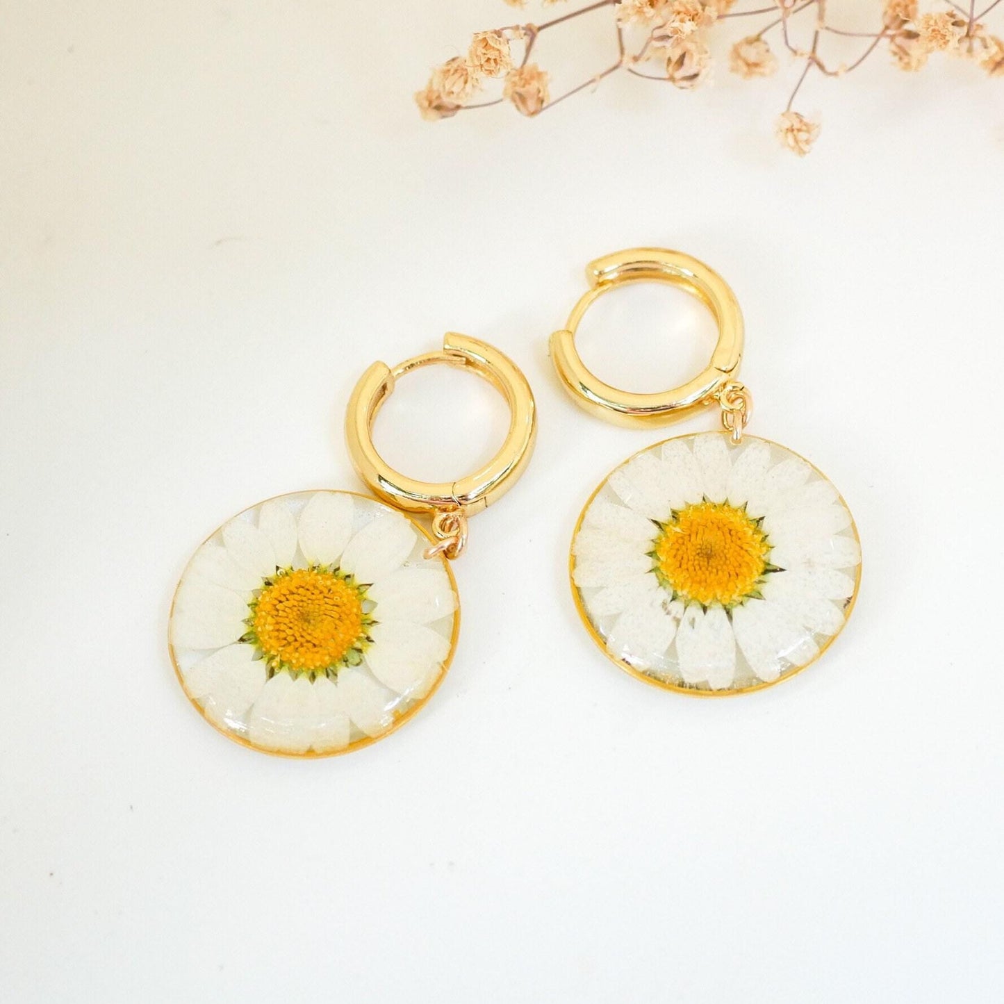 Pressed flower daisy earrings, real flowers,  hoop earrings,  terrarium earrings, real flower jewelry, botanical hoops