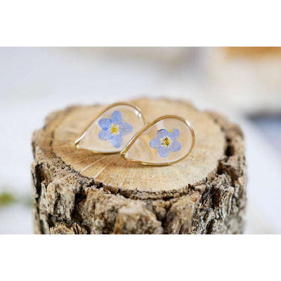Tiny forget me not teardrop stud earrings