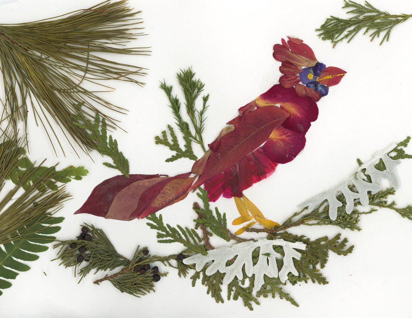 Cardinal Greeting Card: Pressed Flower Art, Blank Floral Note