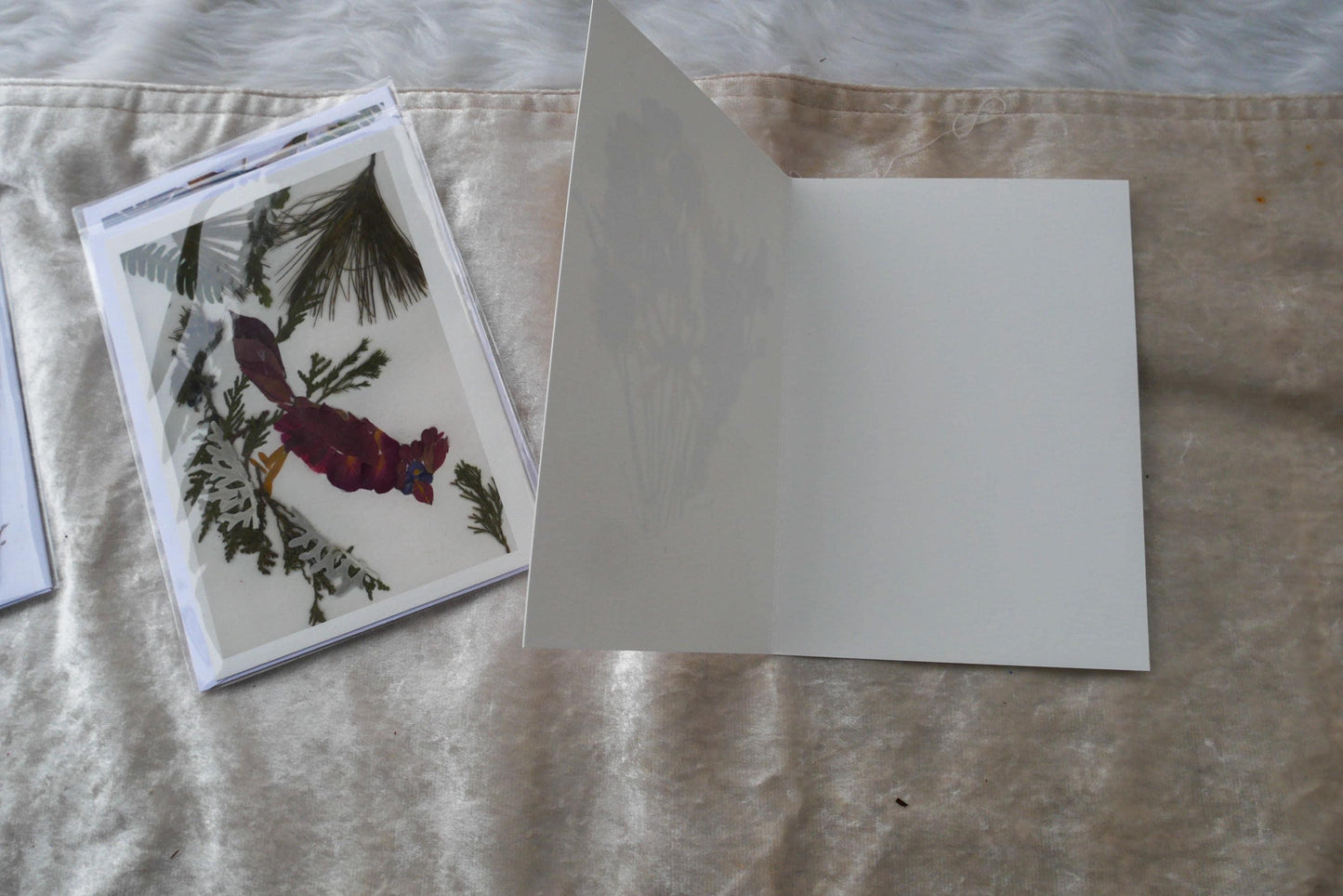 Cardinal Greeting Card: Pressed Flower Art, Blank Floral Note