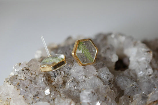 Real fern stud earrings, pressed fern studs, terrarium jewelry, garden gift earrings, hexagon studs