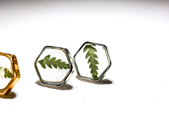 Real fern stud earrings, pressed fern studs, terrarium jewelry, garden gift earrings, hexagon studs